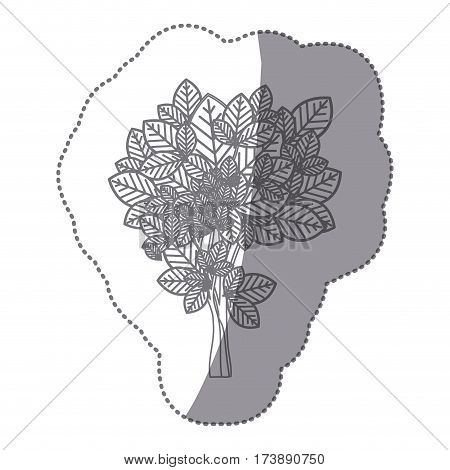 sticker gray color leafy tree with ramifications nature icon vector illustration