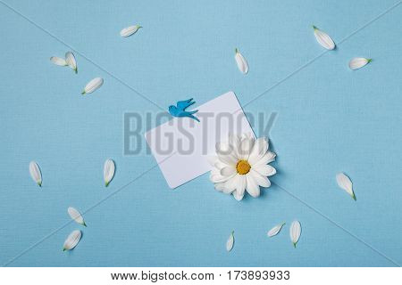 Spring top view composition: business / credit / visiting card mockup scattered petals around white flower with yellow heart blue flying bird. Sky blue background with copy space for text. Flat lay.
