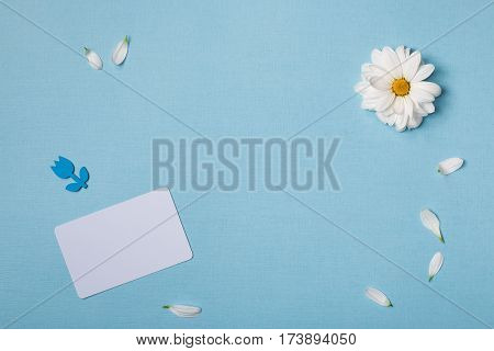 Spring top view composition: business / credit / visiting card mockup scattered petals around white flower with yellow heart. Sky blue background with copy space for text. Flat lay.