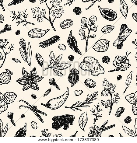 Spices & Herbs, Pattern.