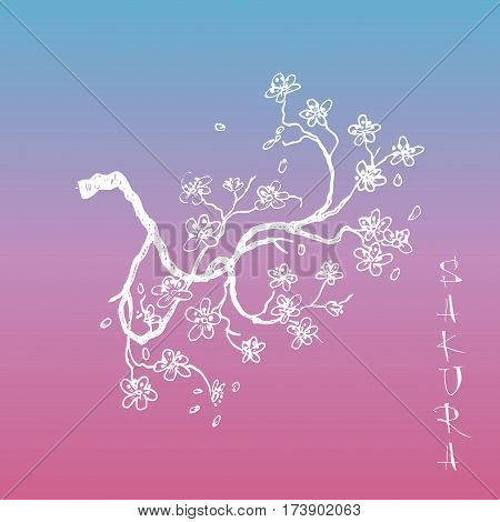 Sakura japanese cherry branch with blooming flowers vector illustration. Blossoming tree with falling petals hand drawn sketch. Far eastern style lettering.