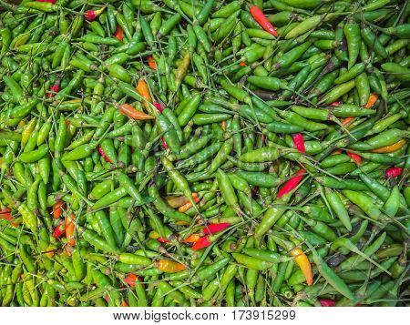 Hot Paprika Paprika Asian Pepper Chili Hot Pepper/ Hot Chili Pepper Paprika on the Table Hot Chili Pepper Paprika Prepare for Cooking