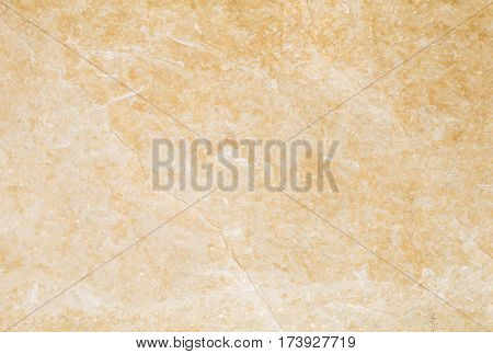 Natural Crema Marfil Zarki Marble Texture
