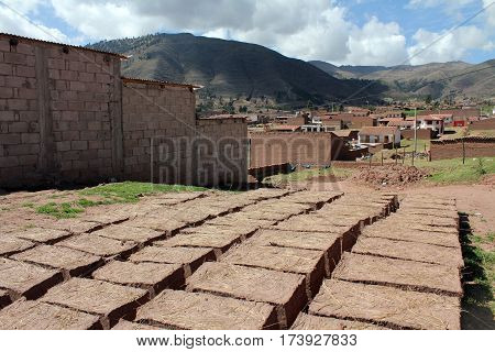Adobe bricks in the sun to dry