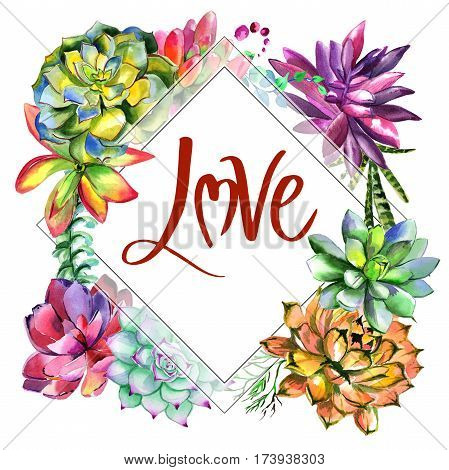 Wildflower succulentus flower frame in a watercolor style isolated. Full name of the plant: succulentus. Aquarelle wild flower for background, texture, wrapper pattern, frame or border.
