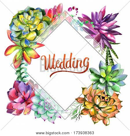 Wildflower succulentus flower frame in a watercolor style isolated. Full name of the plant: succulentus. Aquarelle wild flower for background, texture, wrapper pattern, frame or border.