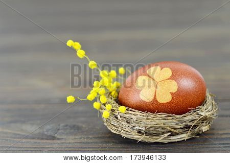 Easter egg in the nest and mimosa