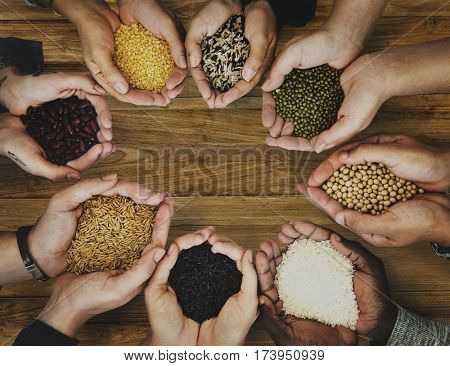 Group of hands holding healthy food agricultural product
