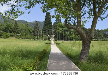 YALTA CRIMEA - MAY 142012: Walk in the park of Massandra palace. Crimea