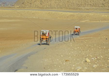 The two chariots with tourists traveling to the pyramids of Giza. Cairo. Egypt