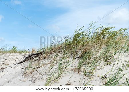 beach on Baltic Sea