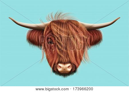 Illustrated portrait of Highland cattle. Cute head of Scottish cattle on blue background.