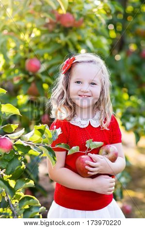 Little Girl Picking Apple In Fruit Garden