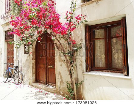 door architecture detail in house building with bougainvillaea Greece