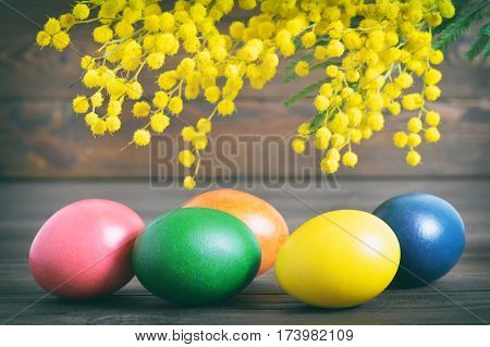 Colorful Easter eggs and mimosa on wooden background