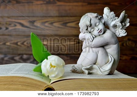 Little angel, white tulip and old book