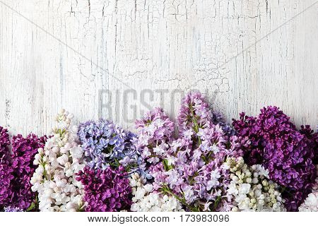 Bunch Of Lilac Flowers On A White Crackling Effect Background. Top View. Copy Space.