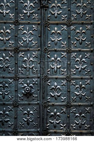Fragment of the iron door old fashion Gate