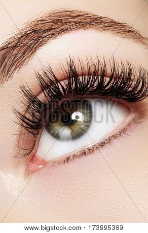 Beautiful Female Eye With Extreme Long Eyelashes, Black Liner Makeup. Perfect Make-up, Long Lashes.