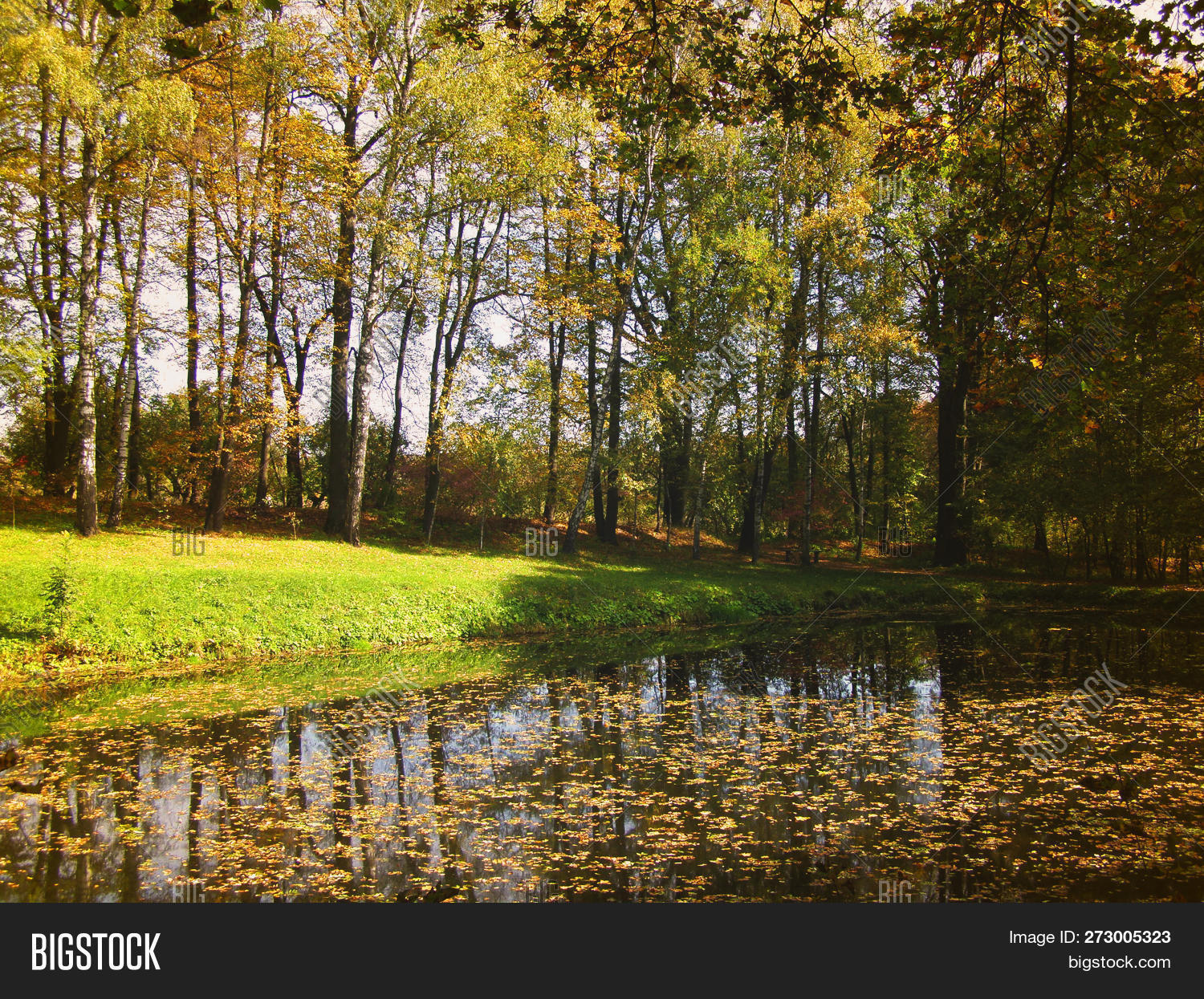 Birchwood Lake Autumn Image & Photo (Free Trial) Bigstock