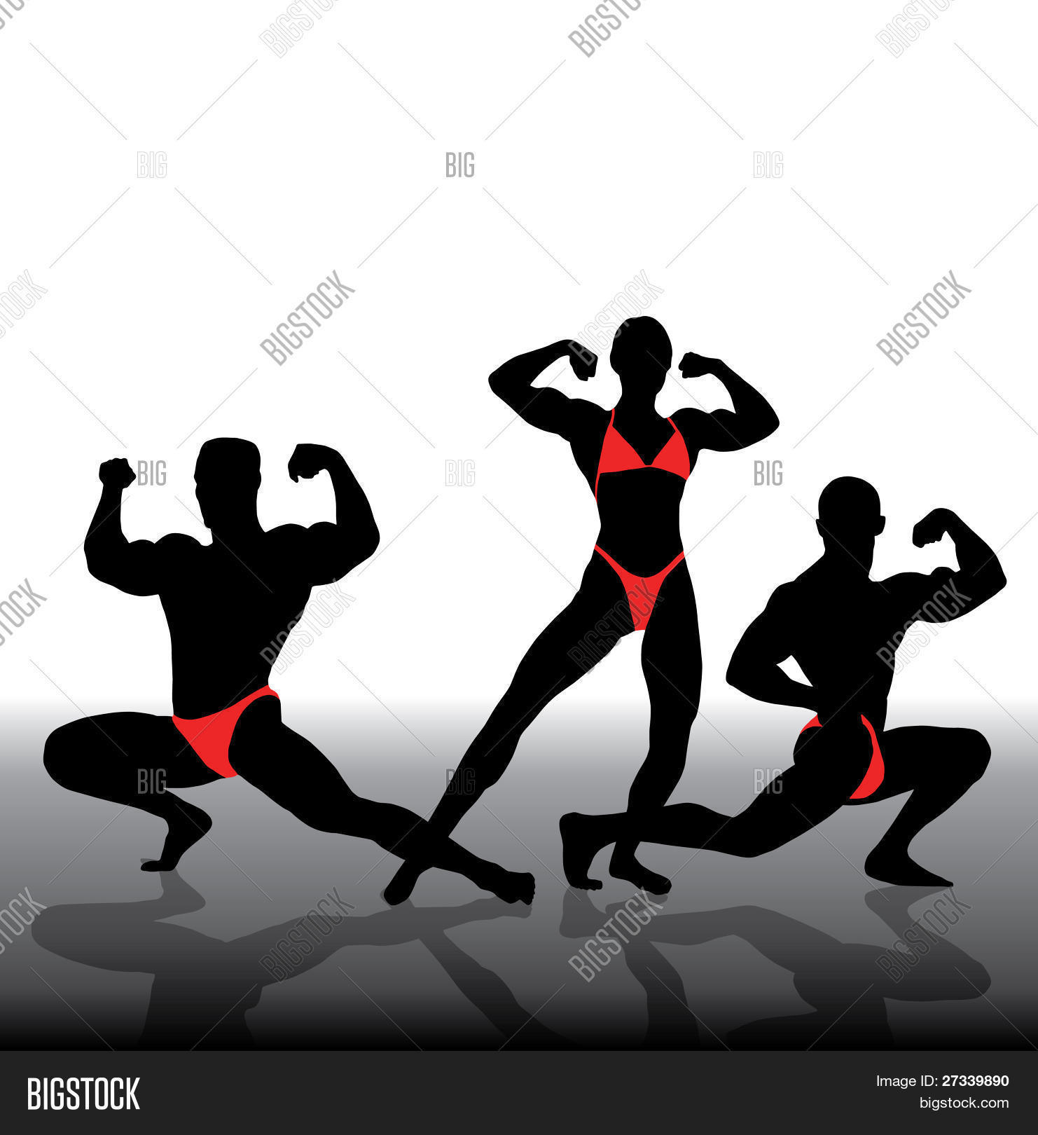 벡터 및 사진(무료 체험) | Bigstock