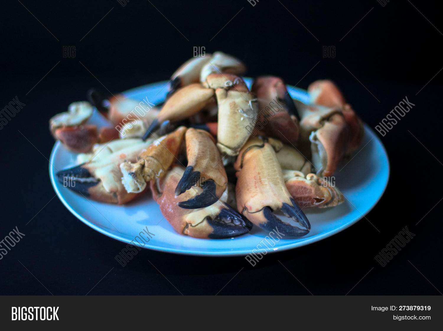 Crab Claws Atlantic Image & Photo (Free Trial) Bigstock