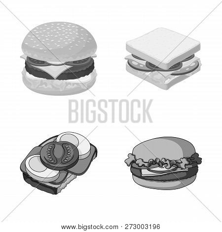 Vector Illustration Of Sandwich And Wrap Icon. Set Of Sandwich And Lunch Vector Icon For Stock.