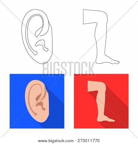 Vector Illustration Of Human And Part Icon. Set Of Human And Woman Vector Icon For Stock.