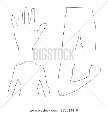 Vector Design Of Human And Part Sign. Collection Of Human And Woman Vector Icon For Stock.