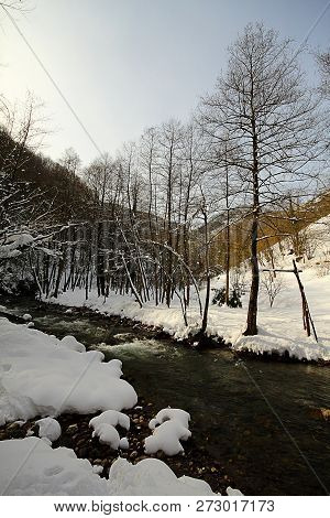 Under The Snow In A Winter Day