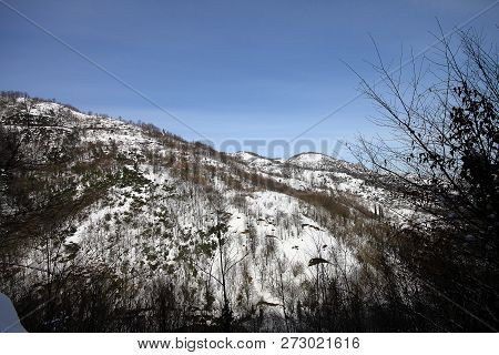 Under The Snow In A Winter Day