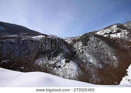 Under The Snow In A Winter Day