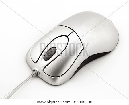 computer mouse