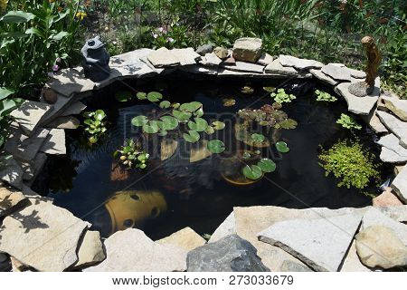 Lily Pond, Goldfish Pond Filled With Clear Water, See Through, Lily Pads, Surrounded By Rocks, Stone