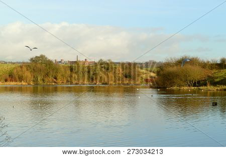 Crime Lake In Daisy Nook Country Park