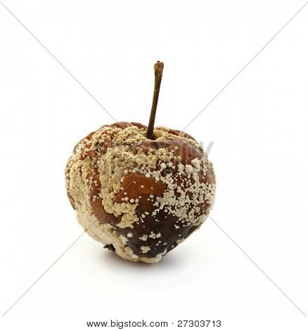 Rotten apple disgustoso su sfondo bianco