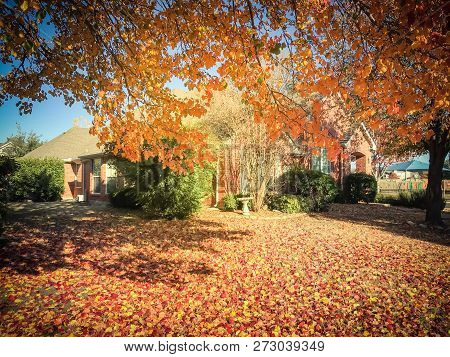 Filtered Image Typical Entrance Of American House In Fall Season With Colorful Tree