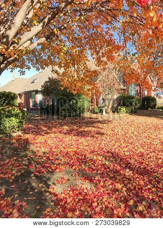 Typical Entrance Of American House In Fall Season With Colorful Tree