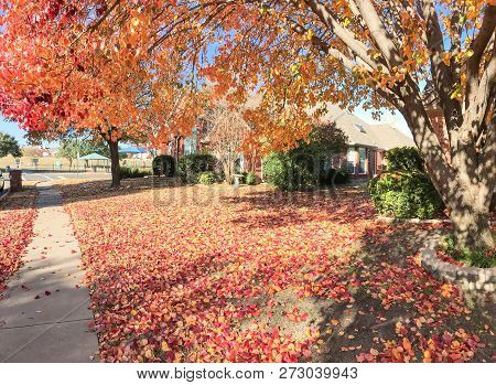 Sidewalk In Front Of American House In Fall Season With Colorful Autumn Leaves