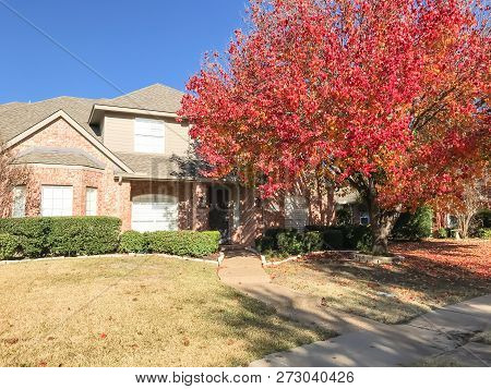 Typical Entrance Of American House In Fall Season With Colorful Tree