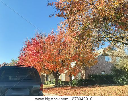 Typical Entrance Of American House In Fall Season With Colorful Tree