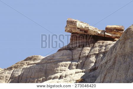 Petrified Wood At Petrified Forest National Park Usa With Clear Blue Sky.