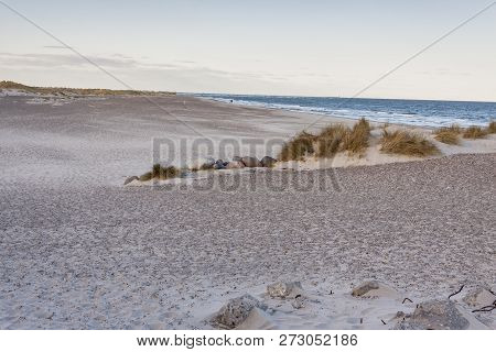 Beach Next To Skagen In The Northern Part Of Denmark.