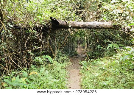 Foothpath To Waterfall At Jetkod-pongkonsao Travel Location In Thailand