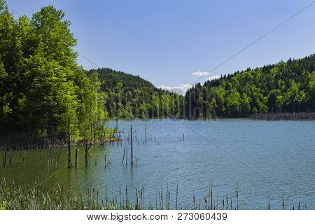 Natural Dam Lake In Spring. Cuejdel Lake Is The Biggest Natural Dam Lake In Romania. It Has Its Orig