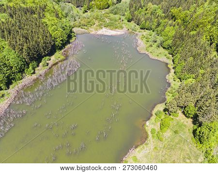 Forest Green Lake, Landscape From Above. Cuejdel Lake Is The Biggest Natural Dam Lake In Romania. It