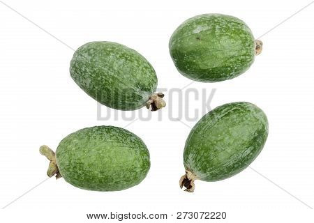 Tropical Fruit Feijoa Acca Sellowiana Isolated On White Background. Top View. Flat Lay Pattern