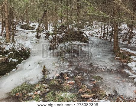 Frozen Mountain River In The Forest Of Bavaria