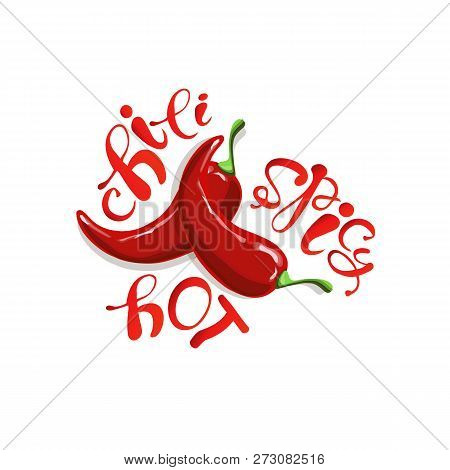 Typography Banner Chili, Spicy, Hot Red Hot Chili Peppers Hand Drawn Painting Stock Vector Illustrat