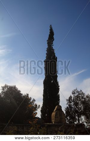 A Village On The Mountain Slope In Bodrum, Turkey